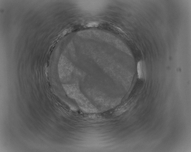 X0000078281443200612011732