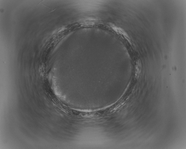 X0000078281445200612011732