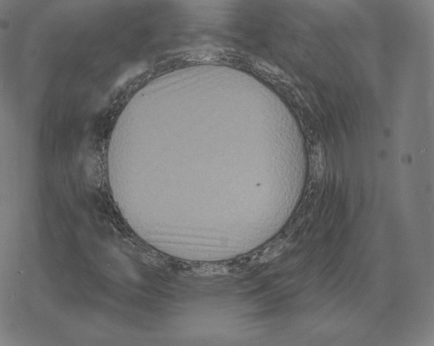 X0000078281446200612011732