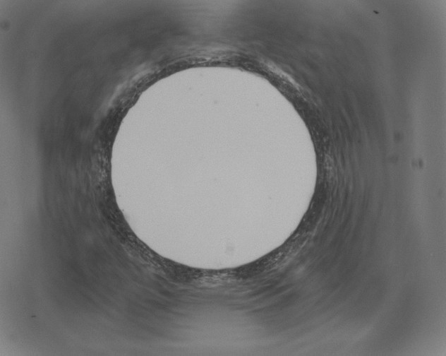 X0000078281447200612011732