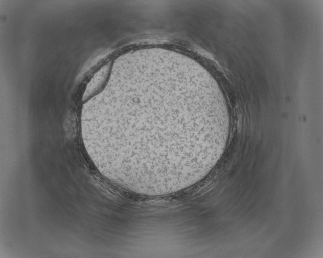 X0000078281448200612011732