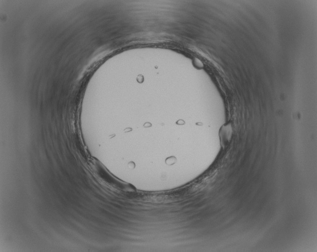 X0000078281451200612011732