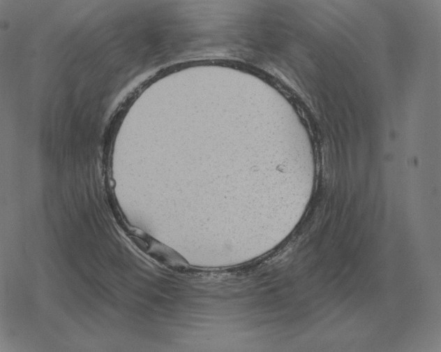 X0000078281452200612011732