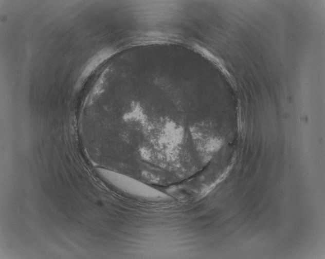 X0000078281453200612011732