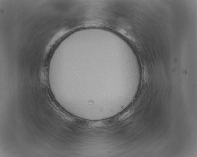 X0000078281454200612011732