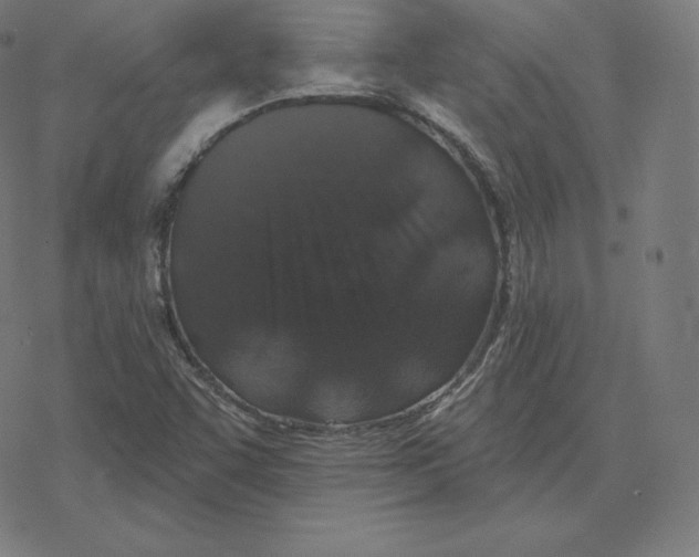 X0000078281455200612011732