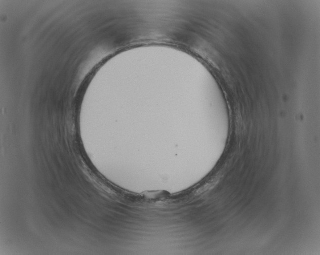 X0000078281458200612011732