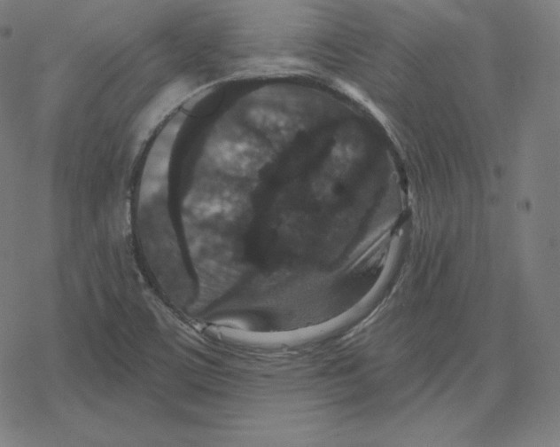 X0000078281459200612011732