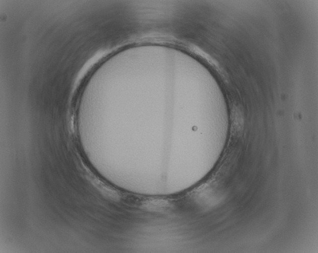 X0000078281462200612011732