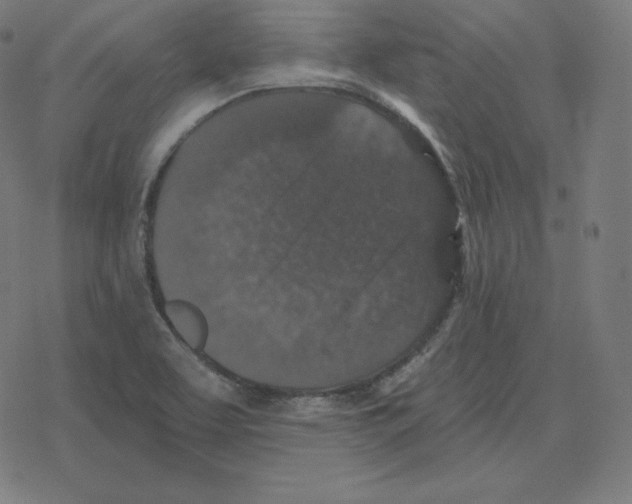 X0000078281463200612011732