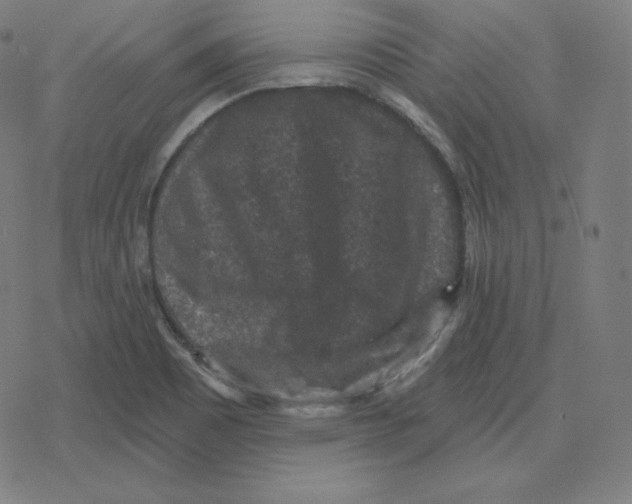 X0000078281465200612011732