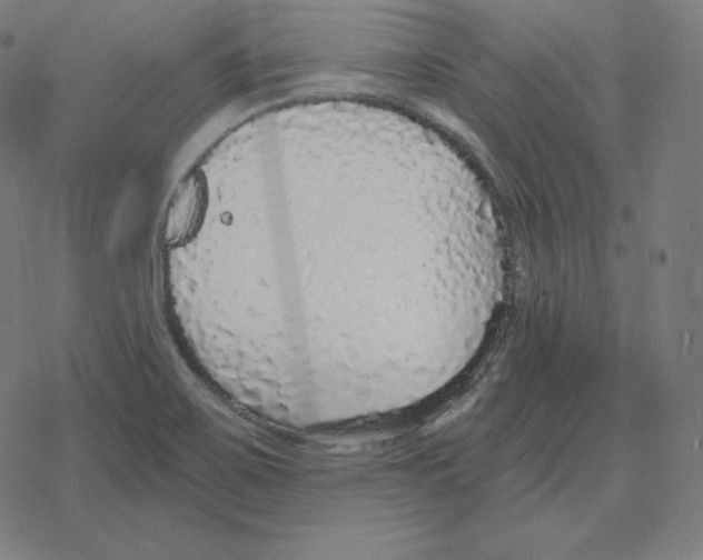 X0000078281467200612011732