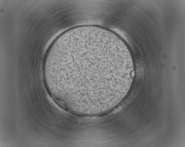 X0000078281468200612011732