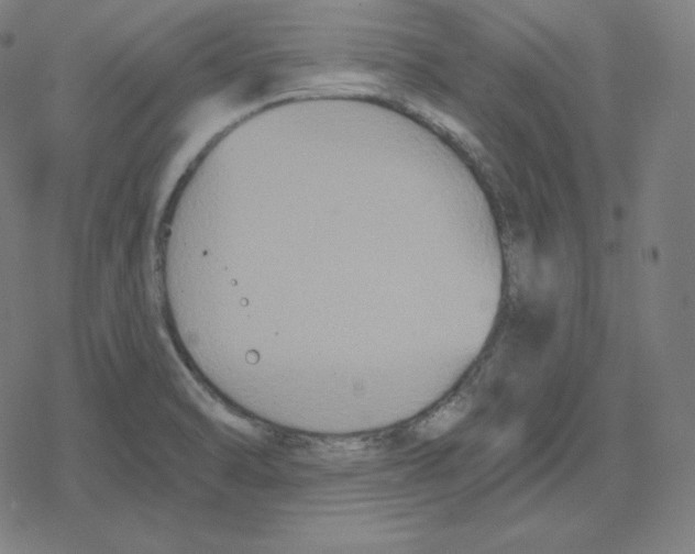 X0000078281470200612011732