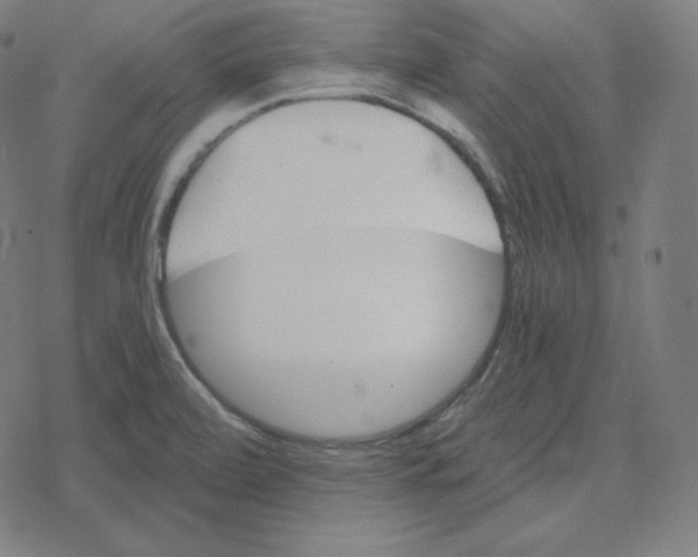 X0000078281472200612011732