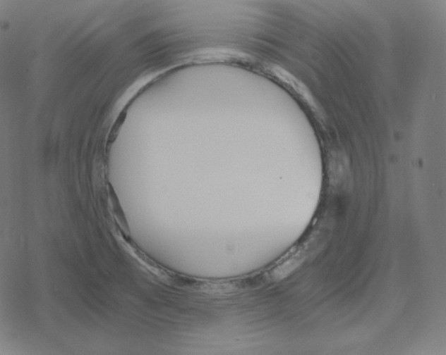 X0000078281473200612011732