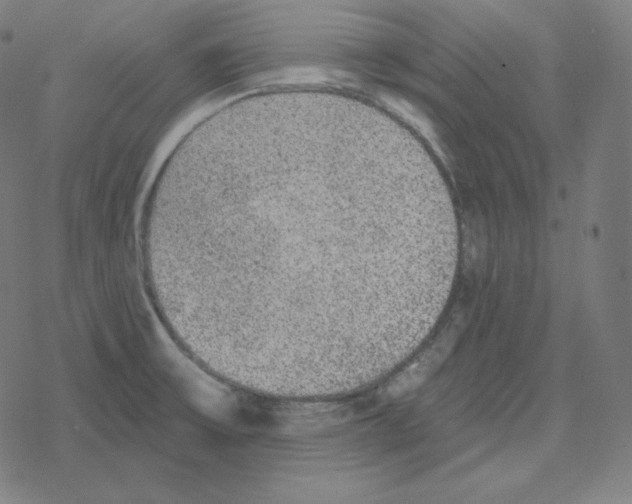 X0000078281475200612011732