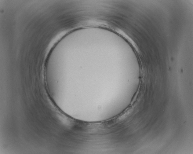 X0000078281477200612011732