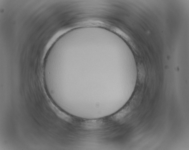 X0000078281478200612011732