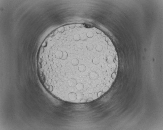 X0000078281479200612011732