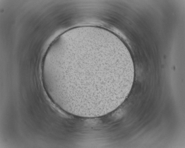 X0000078281480200612011732