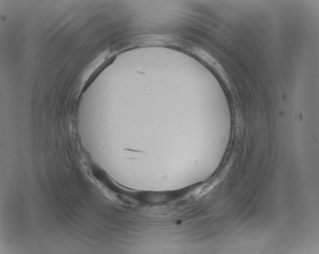 X0000078281481200612011732