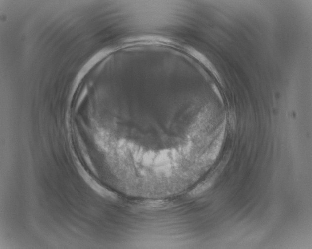 X0000078281482200612011732