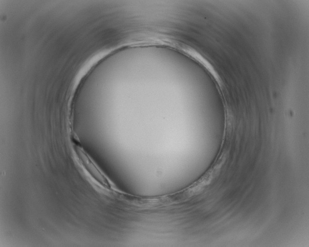 X0000078281485200612011732