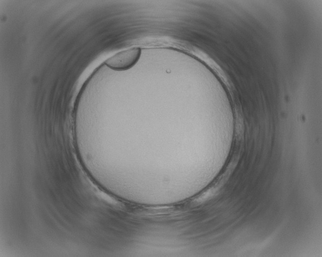 X0000078281486200612011732