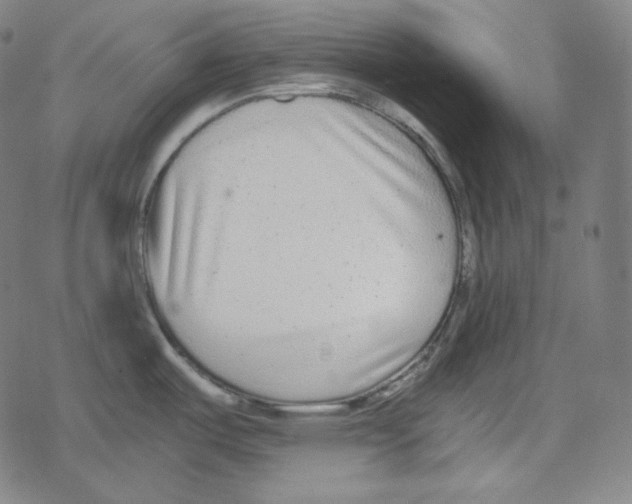 X0000078281487200612011732