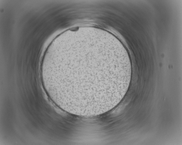 X0000078281488200612011732