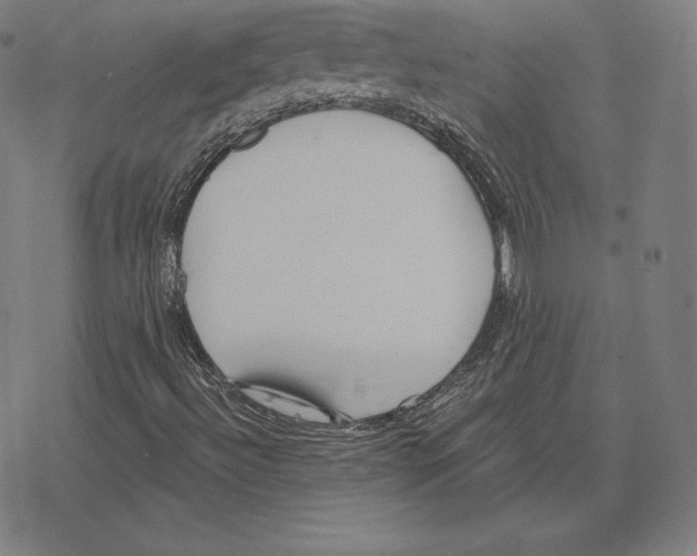 X0000078281492200612011731