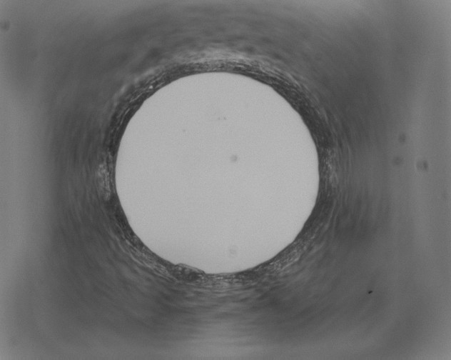 X0000078281493200612011731