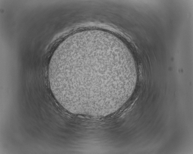 X0000078281494200612011731