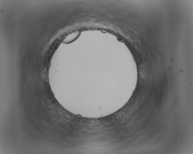 X0000078281495200612011731