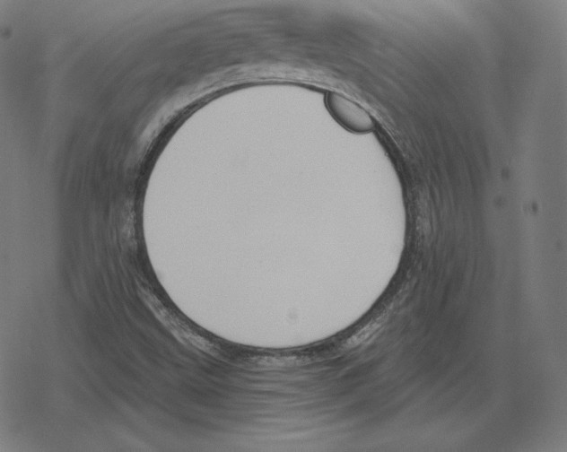 X0000078281499200612011731