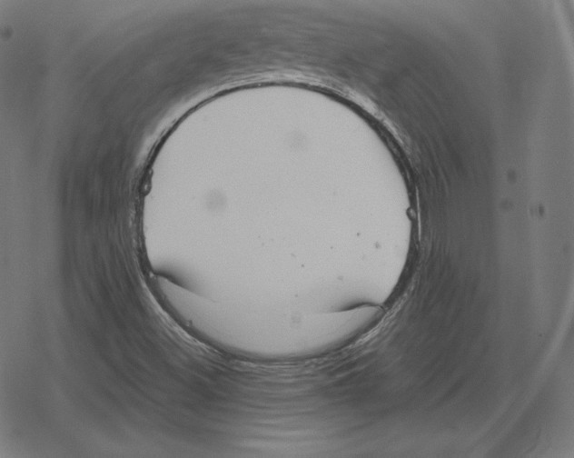 X0000078281500200612011731