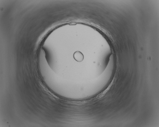 X0000078281502200612011731