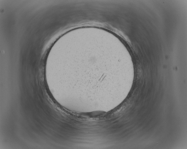 X0000078281504200612011731