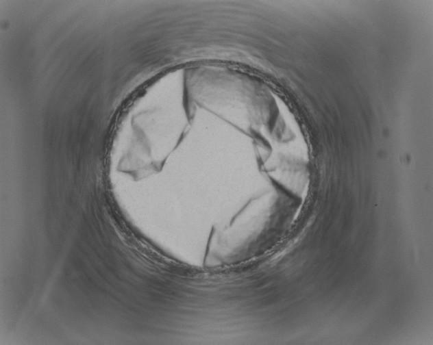 X0000078281505200612011731