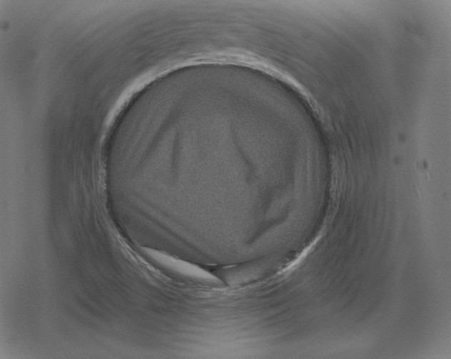 X0000078281506200612011731