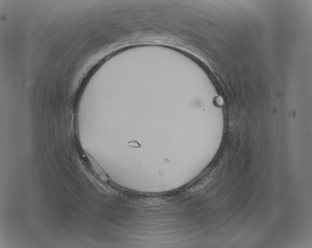 X0000078281507200612011731