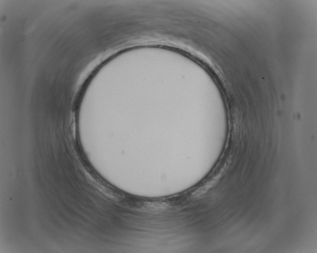 X0000078281509200612011731