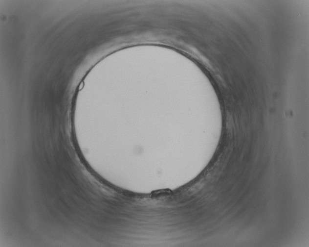 X0000078281512200612011731