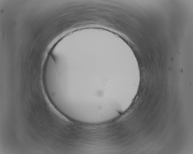 X0000078281518200612011731