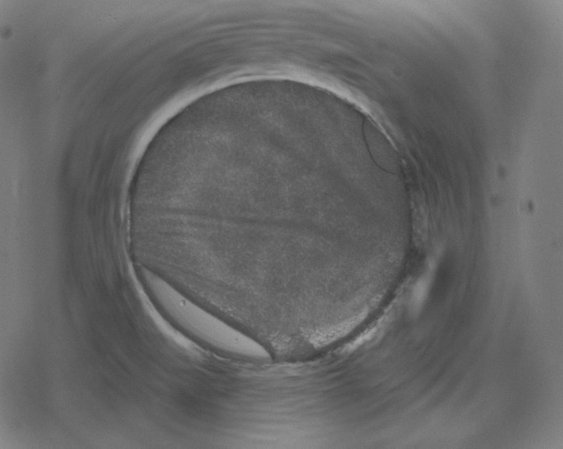 X0000078281519200612011731