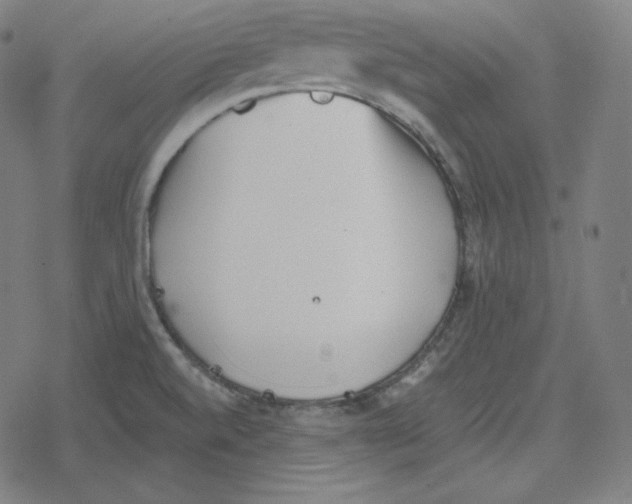 X0000078281520200612011731