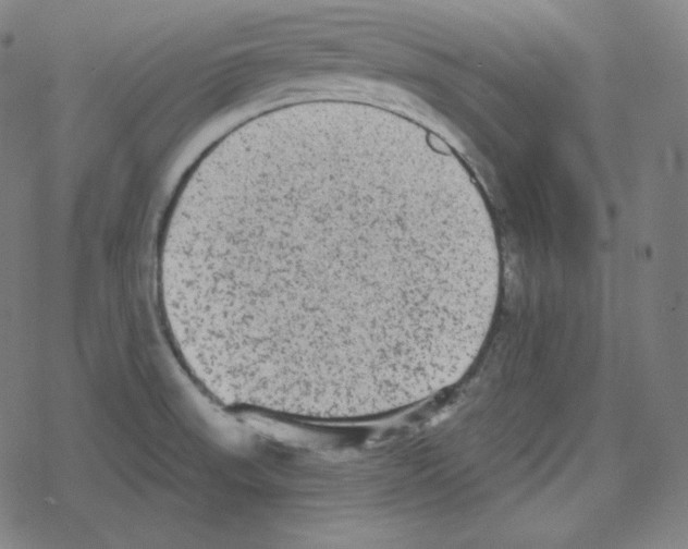 X0000078281523200612011731