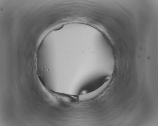 X0000078281524200612011731