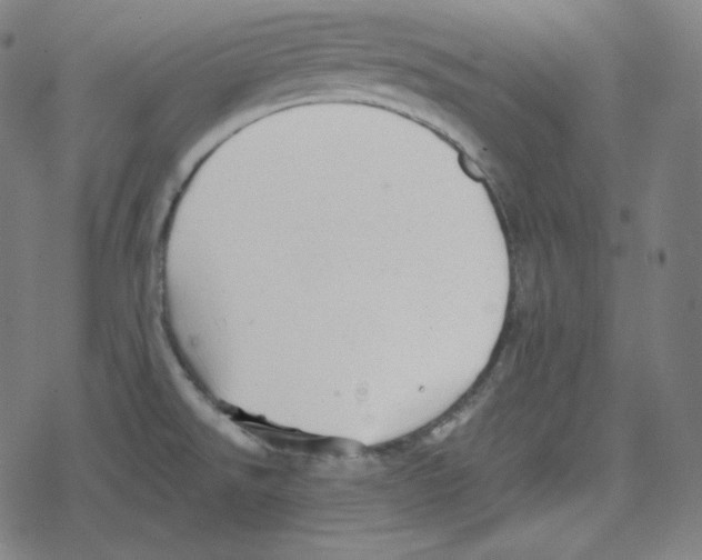 X0000078281526200612011731